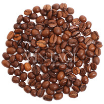 ���� ����� � ��������� LM