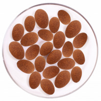 ����� ������� � �������� �������� � ������