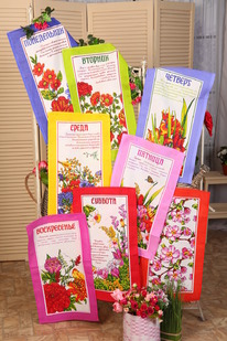 ����� ��������� �������