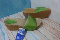 ���������� ���� 36