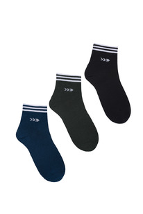 ����� ������ �������