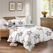 ������� ���������� ����� �� ������� Star (1091)