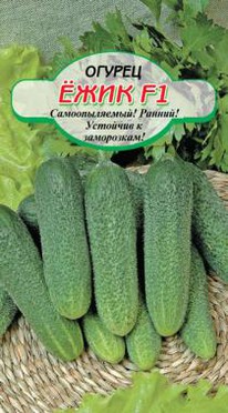 ���� F1 ������