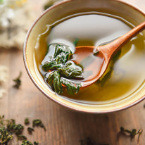 Gynostemma ��������� ������� ����� ���. ��������� �������� �����