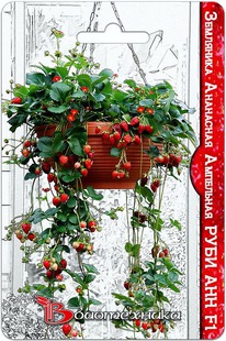 ��������� ��������� ��������� ���� ��� F1