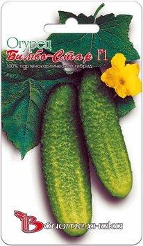 ������ �����-���� F1