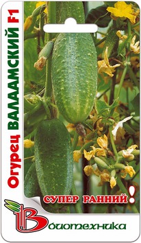 ������ ���������� F1