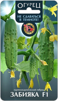 ������ ������� F1 (�� ��������� � �������)