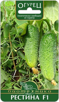 ������ ������� F1