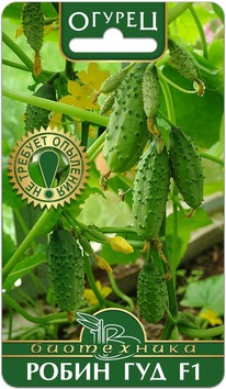 ������ ����� ��� F1