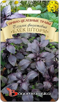 ������� ���� �����