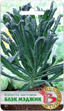 ������� �������� ���� ������