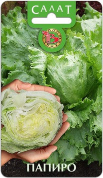 ����� �������� ������