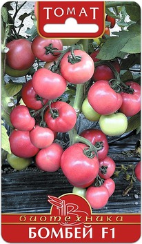 ����� ������ F1