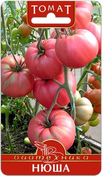 ����� ����