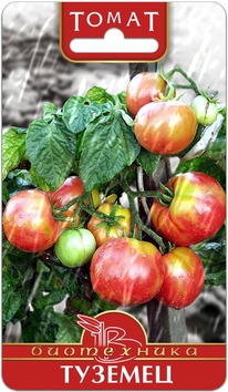 ����� �������