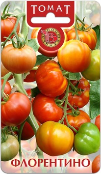 ����� ����������