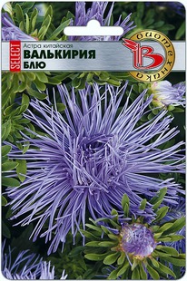 ����� ��������� ��������� ������ ���