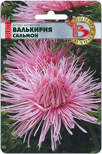 ����� ��������� ��������� ������ �������