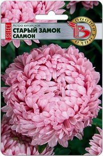 ����� ��������� ������ ����� ������ ������