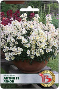 ���������� ����� F1 �����