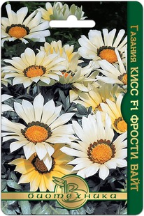 ������� ���� F1 ������ ����