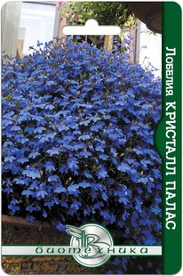 ������� �������� �����