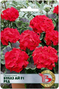 ����������  ����� �� F1 ���