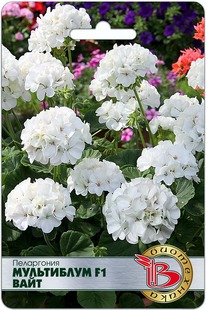 ���������� ���������� F1 ����