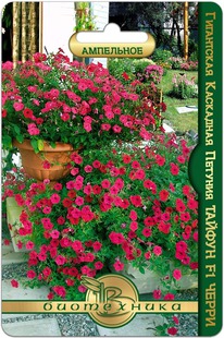 ������� ���������� ��������� ������ F1 �����