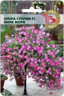 ������� ��������� ����� ������ F1 ���� ����