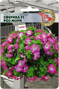 ������� ��������������� ������� F1 ��� ����