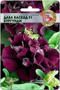 ������� ��������������� �������� ���� ������ F1 ��������