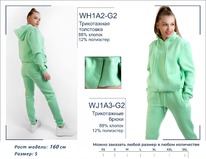 �������� WJA3-G2 ����� ����������� ������� BROSTEM