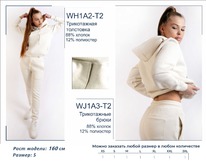 �������� WJ1A3-T2 ����� ����������� ������� BROSTEM