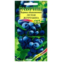 ������� ������ ��������� ������������