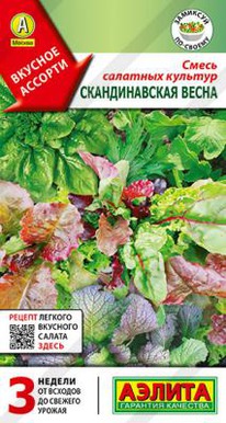 ������������� ����� ����� �������� �������