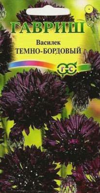 �����-�������� �������