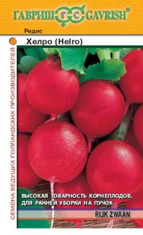 ����� �����  ���������