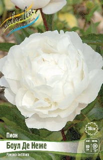 ���� ���� �� ���� 2/3n