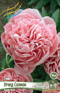 ���� ����� ������ 2/3n