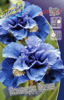 ���� ��������� ������� ����