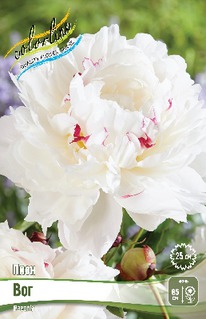 ���� ��� 2/3 n