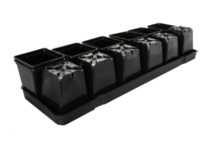 ����� ��� ������� 14 ������� ����������������