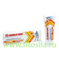 ������ ����. ������ ����. ���������