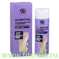 ������ ���� ������� 