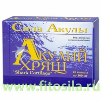 ������ ���� - ���, � 20 ����. � 0,3 �