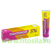 ���� � ���������� 40 �� 