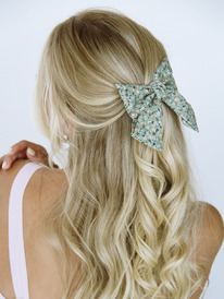 ���� �� �������