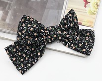 ���� �� �������